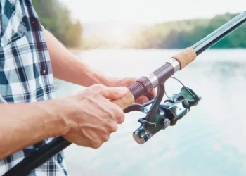 Best Crappie Fishing Reels